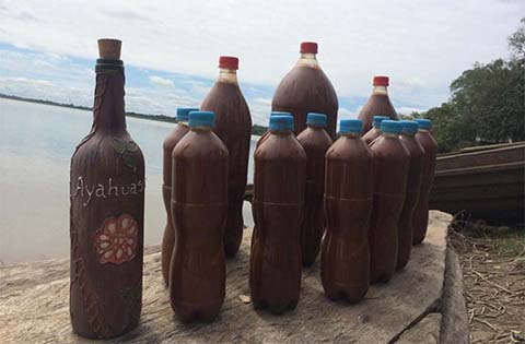 Ayahuasca Tea For Sale